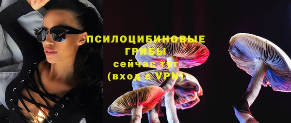 хмурый Алзамай