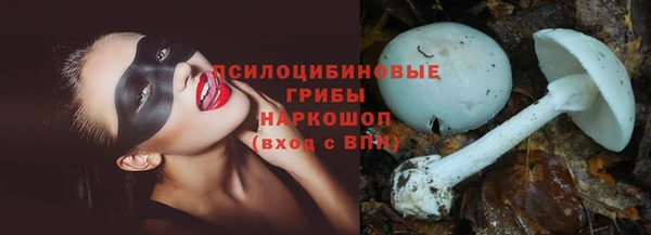 тгк Кинешма