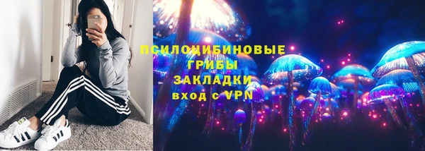 хмурый Алзамай