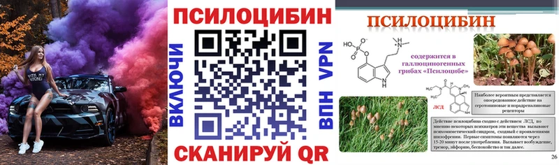 Галлюциногенные грибы Psilocybe  Медынь 